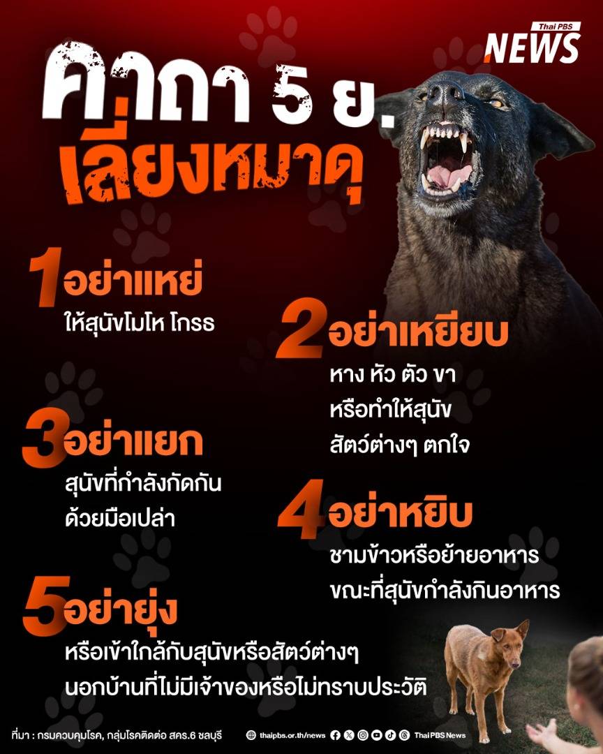 https://news.thaipbs.or.th/media/NLOrLVclxcgV1x2f4Vg8IhixStrhaET.jpg