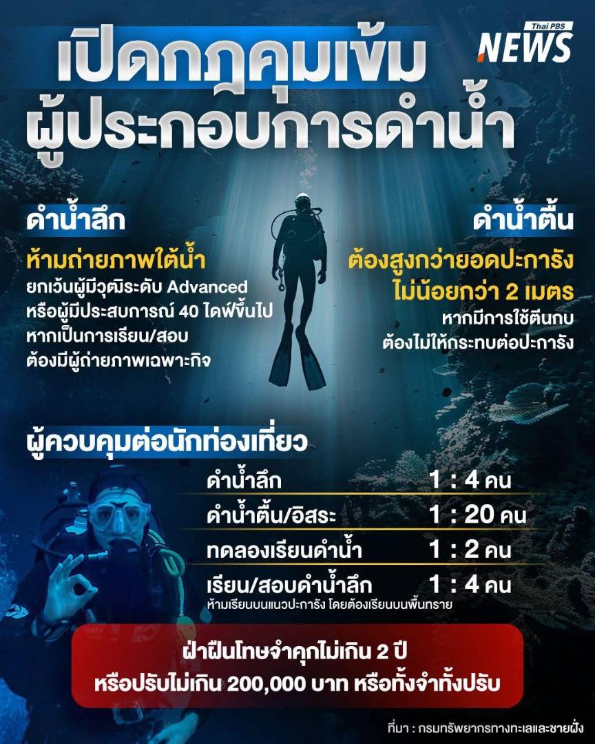https://news.thaipbs.or.th/media/NLOrLVclxcgV1x2f4Vg8YplIK6khy2M.jpg